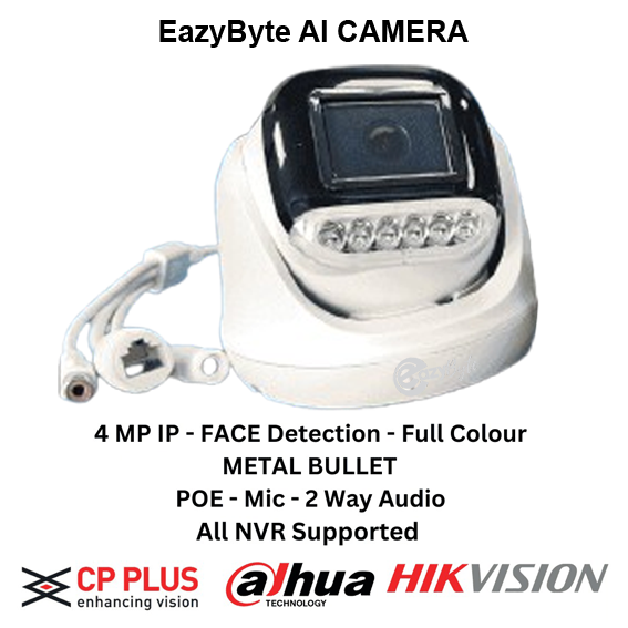 4MP EAZYBYTE AI PLASTIC DOME CAMERA